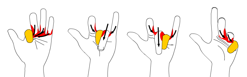 검지부터 소지까지 각 손가락을 움직일 때 발생하는 인접한 손가락들의 움직임